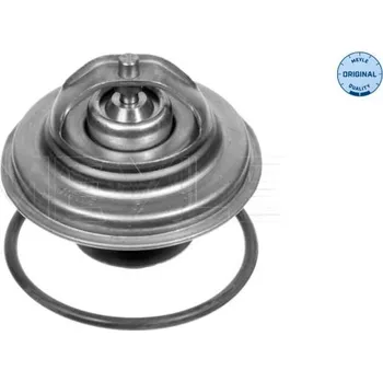 Těsnění motoru Termostat, chladivo MEYLE 028 287 0005