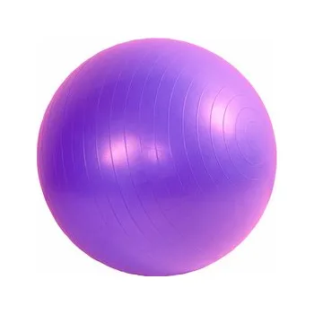 Gymnastický míč Míč GYMY ABS zesílený - fialový, průměr 55 cm