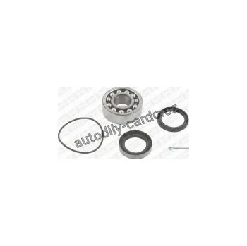 Sada ložisek kol SNR R178.01