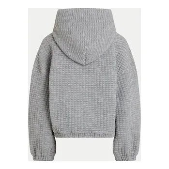 Pánská mikina Calvin Klein Jeans Mikina IG0IG02544 Šedá Regular Fit 8Y