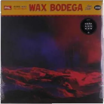 Zahraniční hudba LP Gates: Here and Now LTD | CLR 2022 Blue Cobalt Vinyl Limited Edition