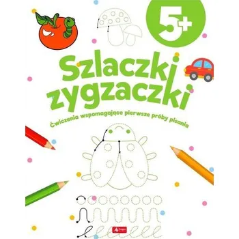 Hlavolam Szlaczki zygzaczki - Praca zbiorowa