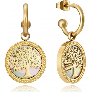 Náušnice Viceroy Fashion 15064E01012