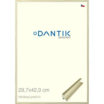 Rám na obraz DANTIK rámeček 29,7x42 | ALU profil 7001 zlatá lesklá alternativa (Plexi Čiré) (Vyrobeno s láskou u nás v DANTIKU)
