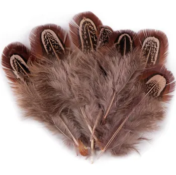 Bažantí peří délka 5-7 cm