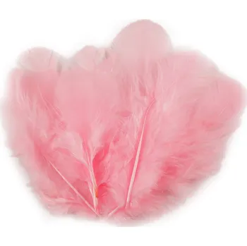 Výtvárné potřeby Slepičí peří délka 8-9 cm