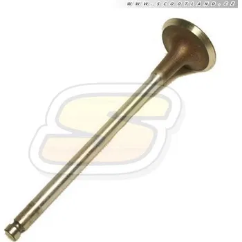 Piaggio Ventil sací 873809