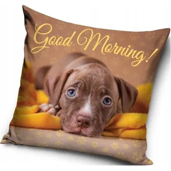 Povlak na dekorativní polštářek Povlak Carbotex 40 x 40 polštáře