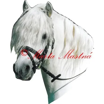 Samolepka velšpony Happy Boy, kůň, koně