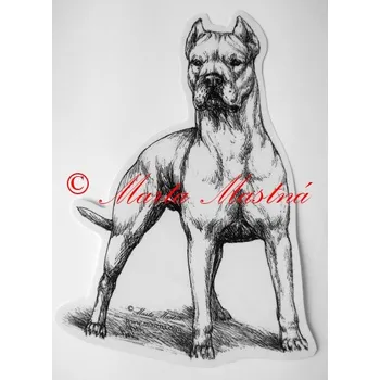 Samolepka argentinská doga - archiv c364 - Malá - přibližně jako pohlednice