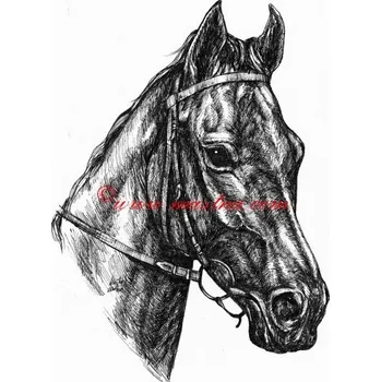Samolepka anglický plnokrevník Quadra, kůň, koně c624 - Malá - přibližně jako pohlednice