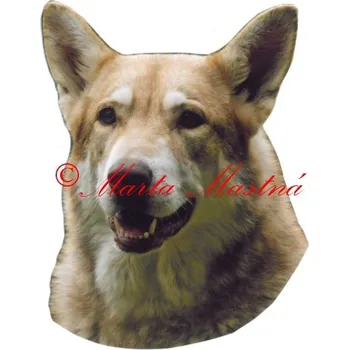 Samolepka saarlooský vlčák archiv 526