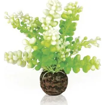 Dekorace do akvária biOrb vodní rostlina Caulerpa