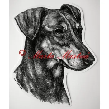 Samolepka německý pinč - archiv c354 - Malá - přibližně jako pohlednice