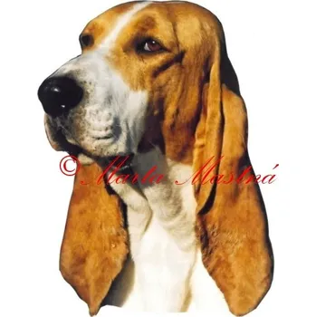 Samolepka švýcký honič - archiv 280