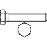 Šroub šestihranná hlava celý závit dle čsn 1103 m18x 60 pevnost 8.8 zinek bílý