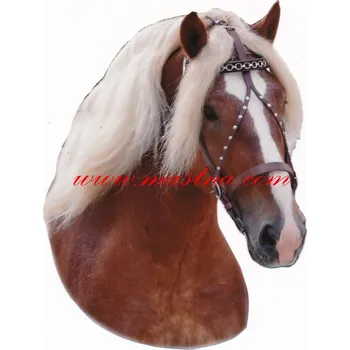 Samolepka českomoravský belgik Mystic, chladnokrevník, kůň, koně