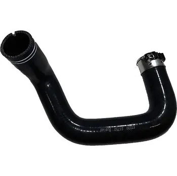 Hadička plnicího vzduchu BUGIAD 81750