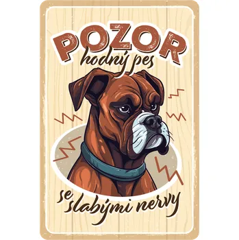 Plechová cedule Postershop Plechová cedule: Pozor hodný pes - 20x30 cm