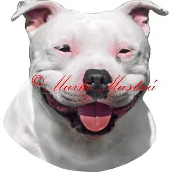Samolepka stafordšírský bulteriér, staford archiv 688