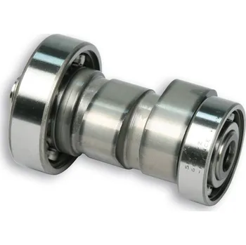 Motodíl Malossi Vačková hřídel Malossi 5911854