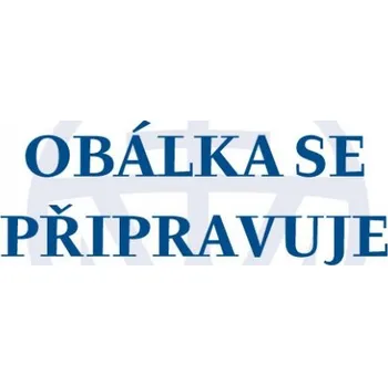 Kniha Bezezbytková dieta