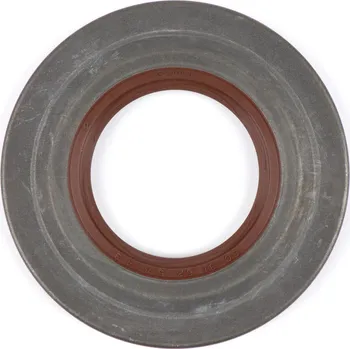 Motor pro motocykl BGM Gufero 31x62,1x5,8/4,3mm FKM/Viton® 50384