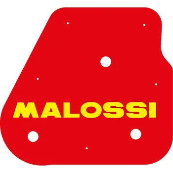 Filtr pro motocykl Malossi Vzduchový filtr Redsponge Minarelli 1411412