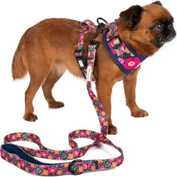 Postroj pro psa Nylonové kšíry s vodítkem Barva: Zelená, Velikost: S