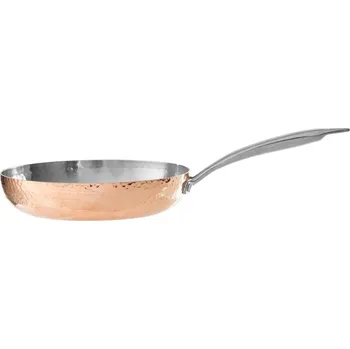 Pánev Nerezová pánev ø 24 cm Minerva – Premier Housewares ID_1692724