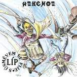 S úsměvem se pije líp - Alkehol [2LP]