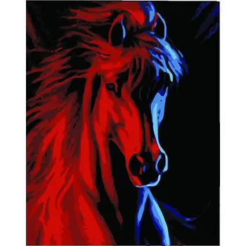 Gaira Malování podle čísel kůň ve tmě