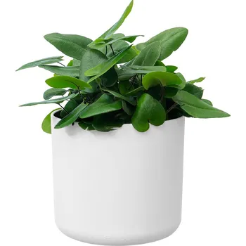 Obal B.For Soft Round 16 cm, bílá