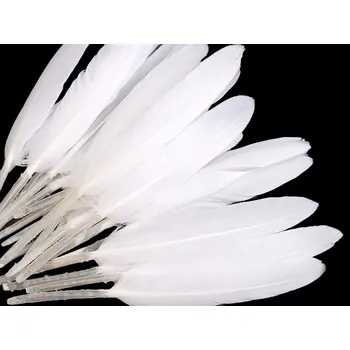 Výtvárné potřeby Kachní peří délka 9-14 cm, barva 5 bílá