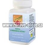 Nápoj stříbrného větru 100g TCM Herbs