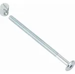 Walteco Spojovací šrouby s maticí M6x100mm, 4 ks