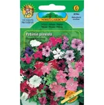 Nohel Garden Petunie převislá směs 180…