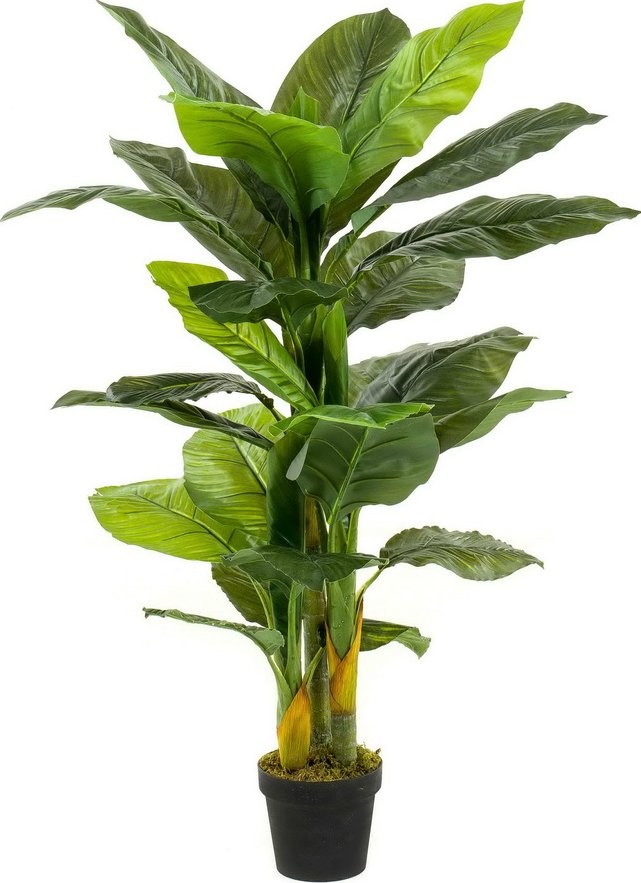 umělá rostlina Toulcovka Spathiphyllum 3 kmeny, 130cm