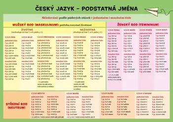 Český jazyk Český jazyk: Podstatná jména - Zuzana Hladíková (2020, lamino)