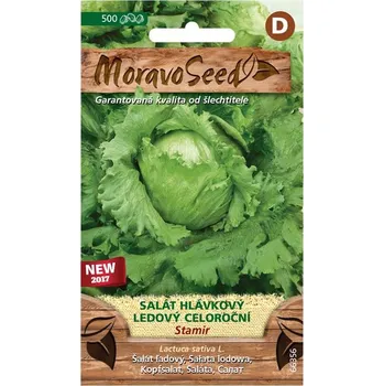 Semeno MoravoSeed Stamir 66356 salát hlávkový ledový celoroční 1 g