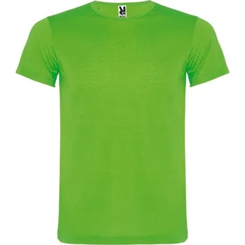 Pánské tričko ROLY Tričko Akita, pánské, sportovní E6534-222-S S Zelená svítivě