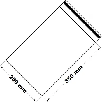 Sáček na potraviny Sáček PE s rychlouzavíráním 250 x 350 mm /100 ks