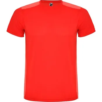 Pánské tričko ROLY Tričko Detroit, sportovní, pánské E6652-60254-S S Červená