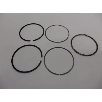 Zahrada VeGA Píst. kroužky -set