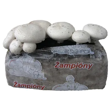 Václavík Žampióny bílé zahrádka 15 l Substrát Václavík Žampióny bílé zahrádka 15 l