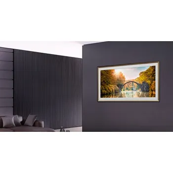 Televizor LG 55" OLED OLED55B9PLA