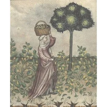 Příroda Zahrada slov. Ad honorem Zuzana Silagiová - Černá, Julie