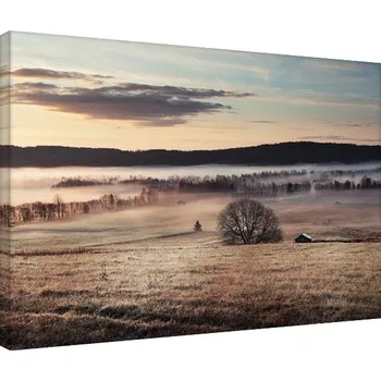 Obraz Obraz na plátně Andreas Stridsberg - Misty Morning