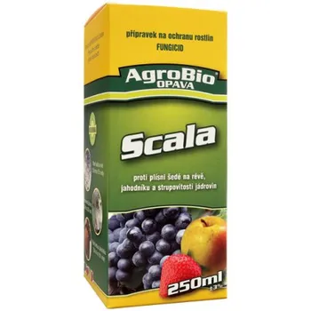 Fungicid AgroBio Opava Scala