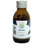 Salvia Paradise Shilajit Mumio kapsle